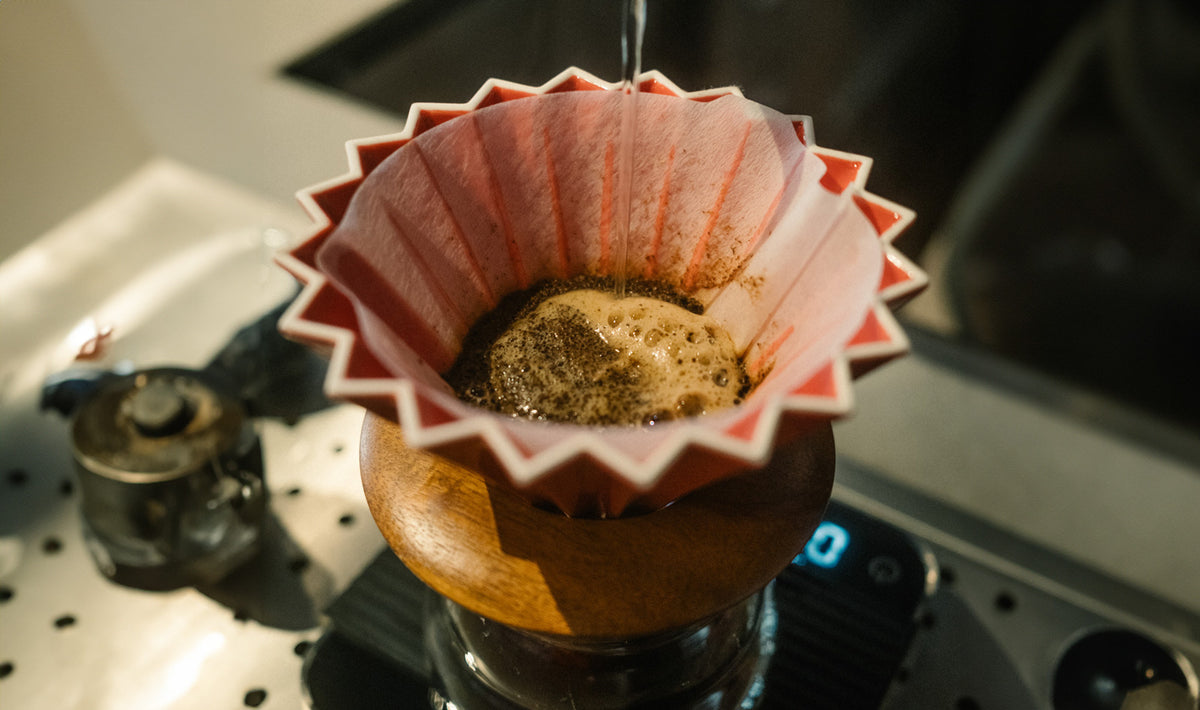 extraktion-filterkaffee-hario-handfilter