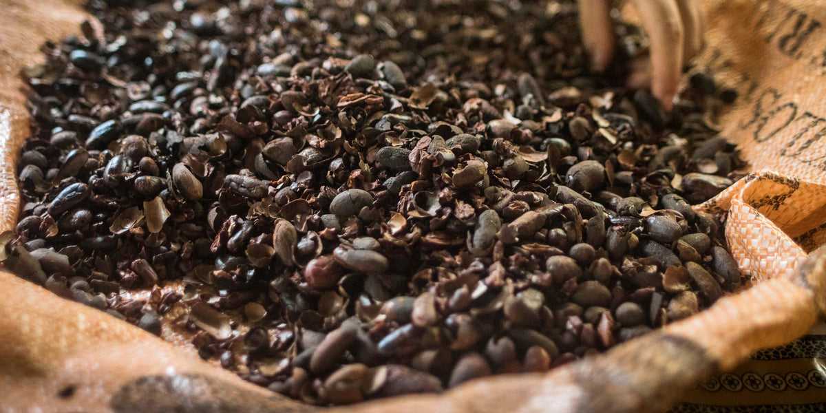 Cascara-Wildkaffee-Roesterei