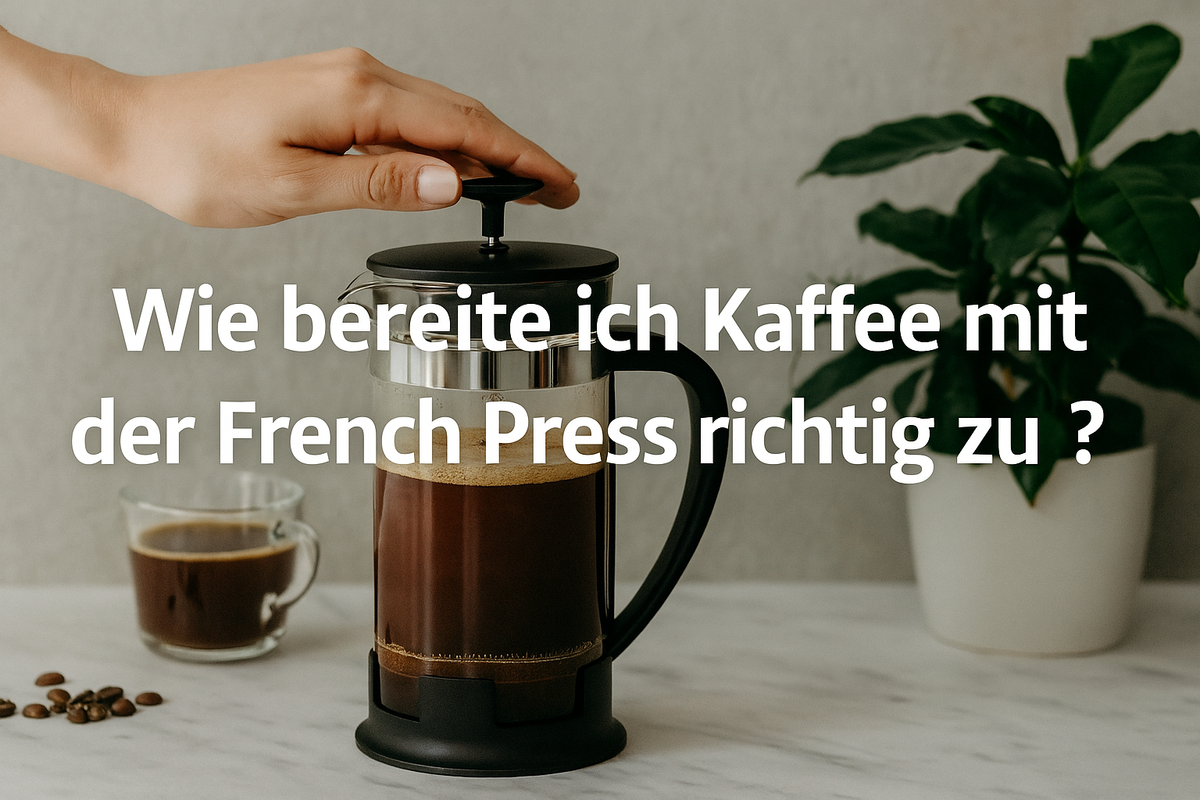 French Press mit Tasse und Pflanze