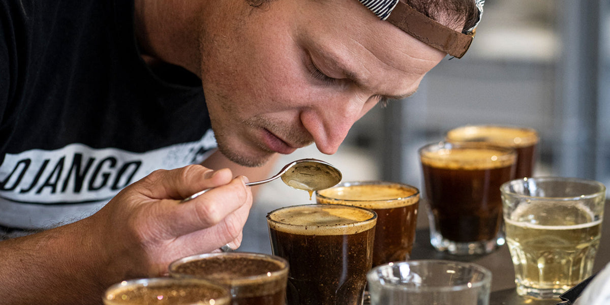 Geschmack-Guatemala-Wildkaffee-Cupping