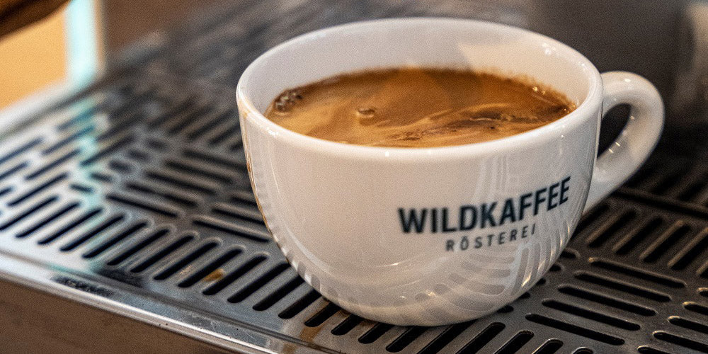 Koffeinentzug-symptome-muedigkeit-kopfschmerzen-wildkaffee