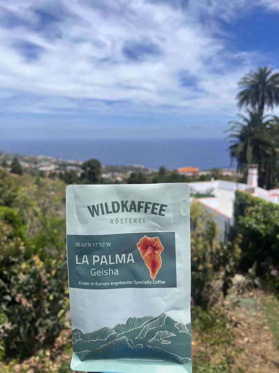 la-palma-geisha-wildkaffee