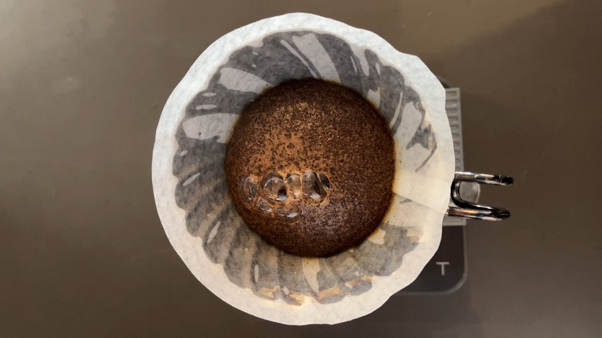 Kaffeefilter Vogelperspektive mit aufgegossenem Kaffeepulver