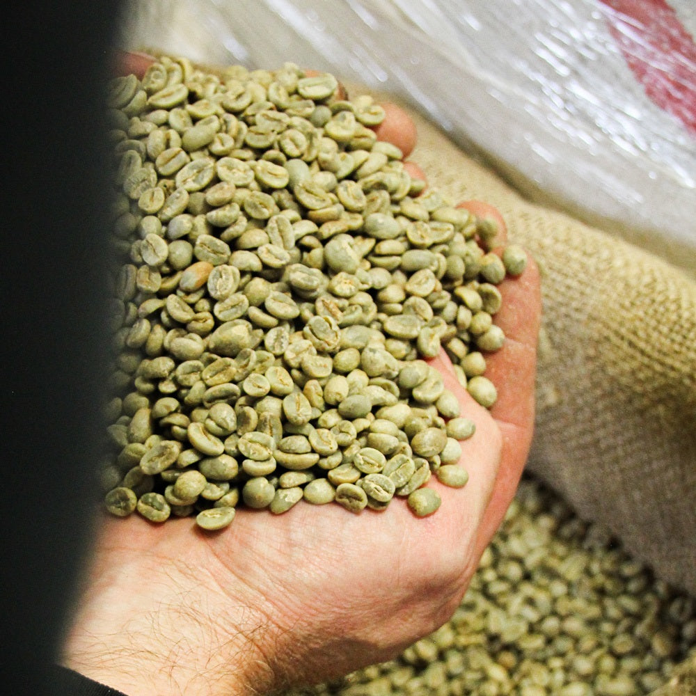 Konsum-Kaffee-Deutschland-Wildkaffee-Roesterei-Microlot