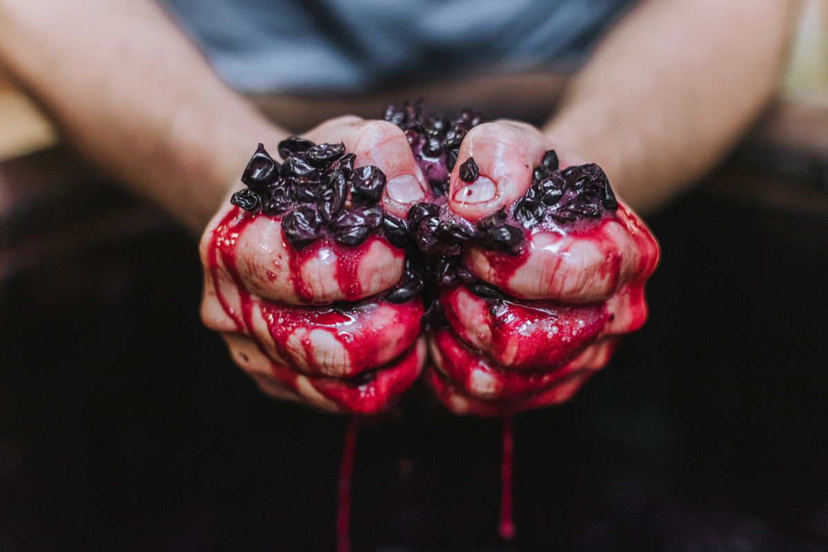 Wein-Danke-Rotwein