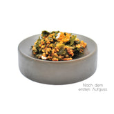teaspitz_gruenertee_japangenmaicha_nass
