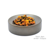 teaspitz_kraeutertee_goldenroots_nass